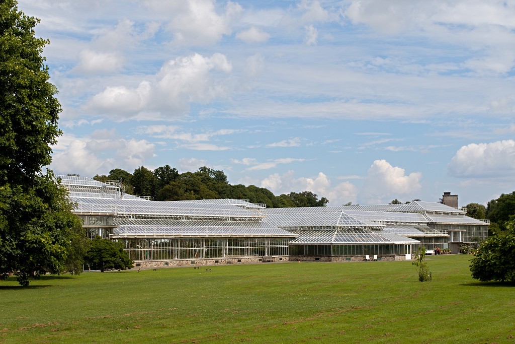 Plantentuin Meise belgie plantentuin kasteel van Bouchout Nymphaea nenuphar Waterlelie kas serre plantenkas hdr botanische tuin